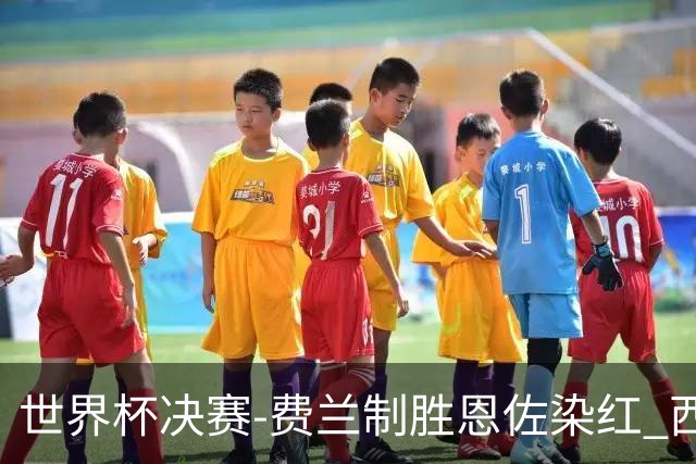 世界杯决赛-费兰制胜恩佐染红 西班牙加时1-0阿根廷夺冠