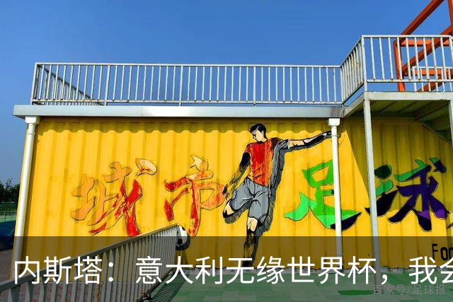 内斯塔：意大利无缘世界杯，我会支持恩师安帅和好友卡纳瓦罗