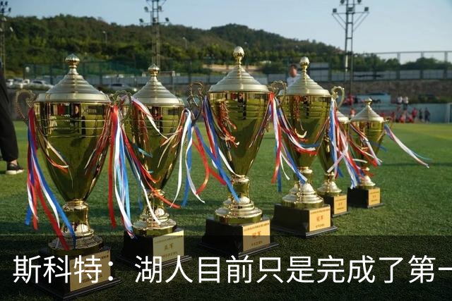 斯科特：湖人目前只是完成了第一波引援 我确信佩林卡还有后手