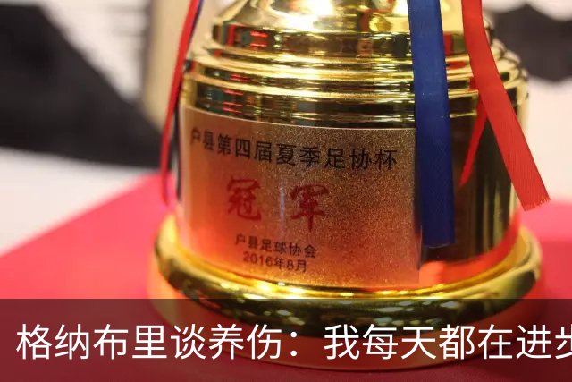 格纳布里谈养伤：我每天都在进步，期待重返赛场与球迷庆祝进球