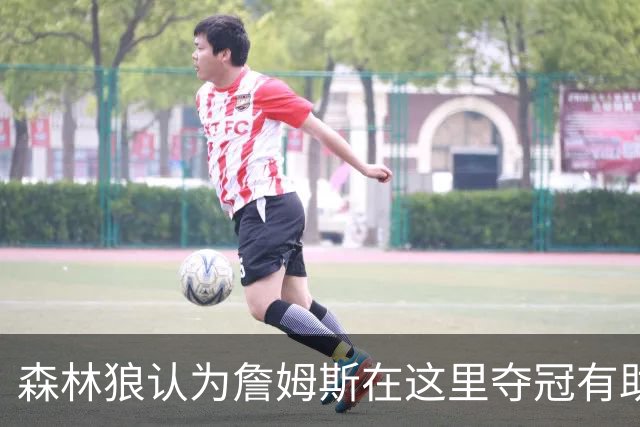 森林狼认为詹姆斯在这里夺冠有助于GOAT之争 其他下家都拿过冠军