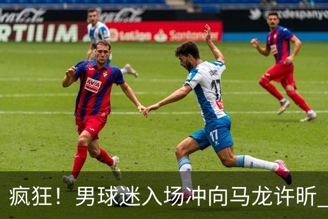 疯狂！男球迷入场冲向马龙许昕 被拦住仍想挣脱 龙蟒心软与他握手