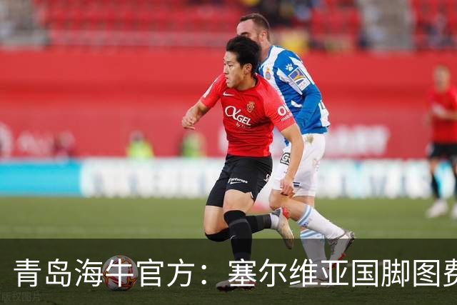 青岛海牛官方：塞尔维亚国脚图费格季奇加盟球队
